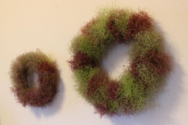 画像6: スモークツリー・ベストピンク　9cmポット苗 (6)